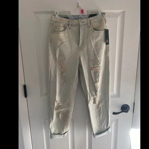 Wild Fable Mom Jeans